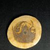 Houten onderzetters dieren Noorwegen - Afbeelding 3