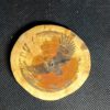 Houten onderzetters dieren Noorwegen - Afbeelding 7